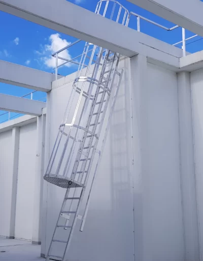 ladders and walkway systems